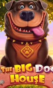 The Big Dog House